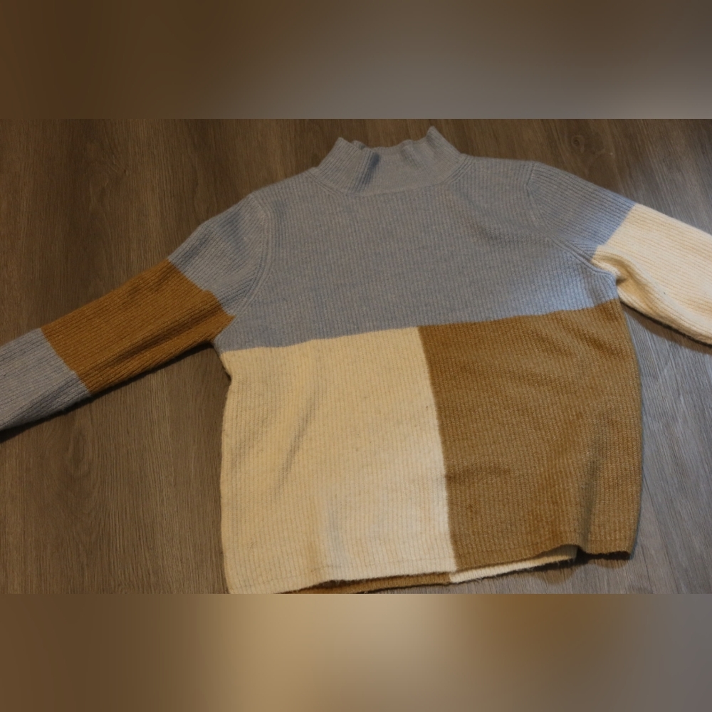 Staccato color block turtleneck